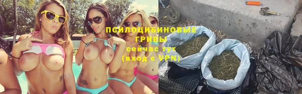 круглые Алексеевка